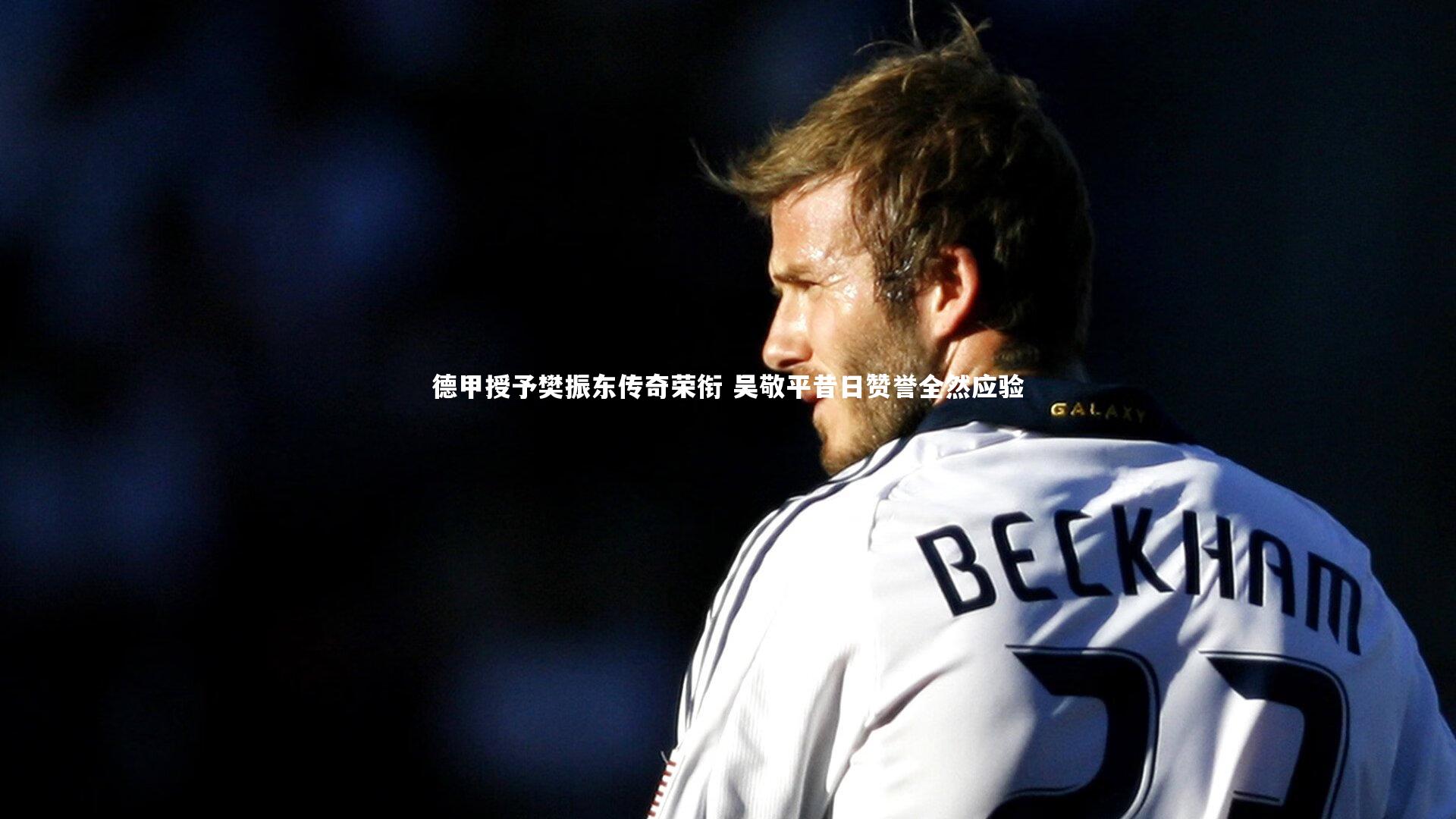 德甲授予樊振东传奇荣衔 吴敬平昔日赞誉全然应验